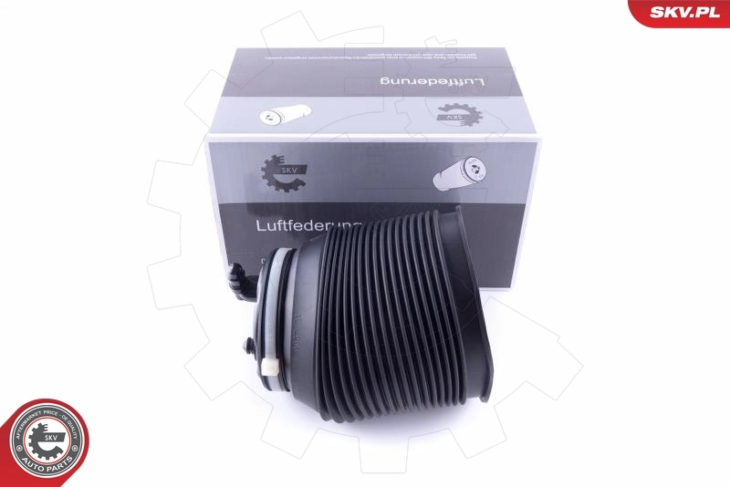 Air Spring, suspension